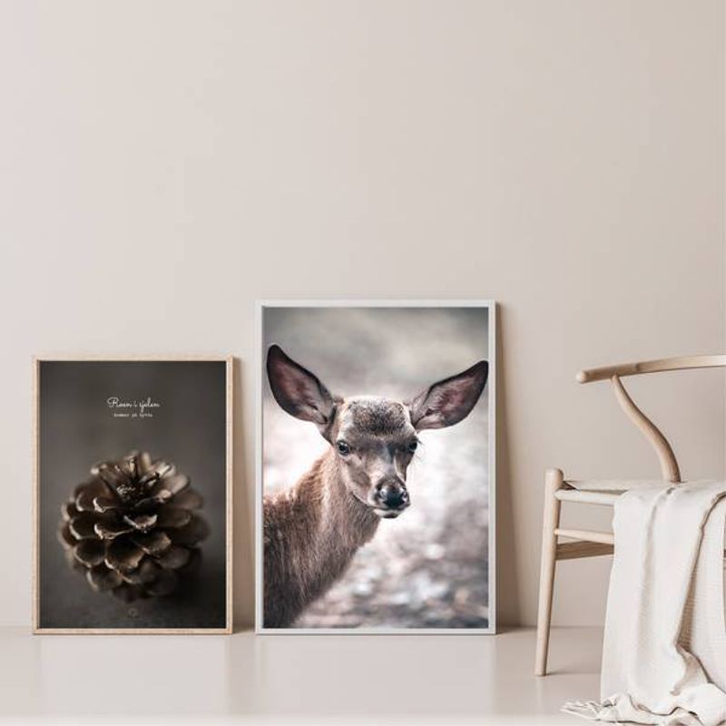 Kongle | 50x70 Plakat